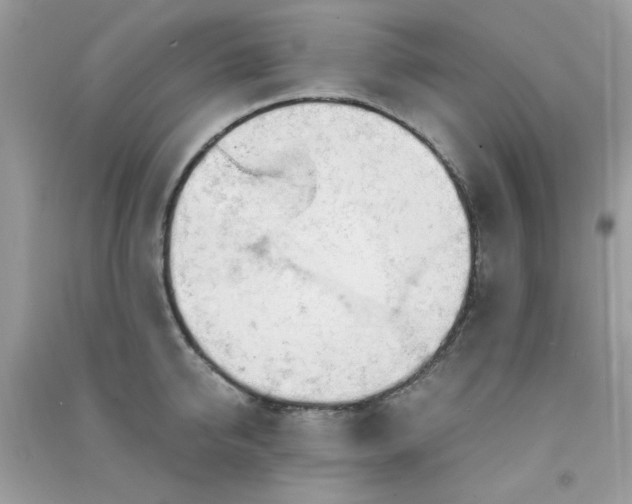 X0000091300950200708172206