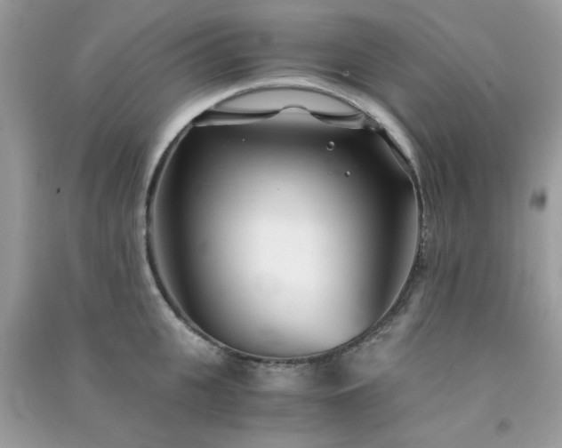 X0000091300951200708172206