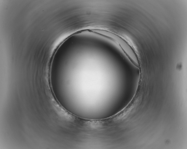 X0000091300952200708172206