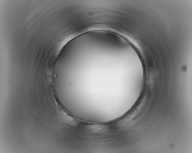 X0000091300953200708172206