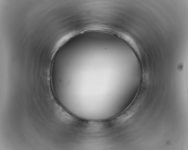 X0000091300954200708172206