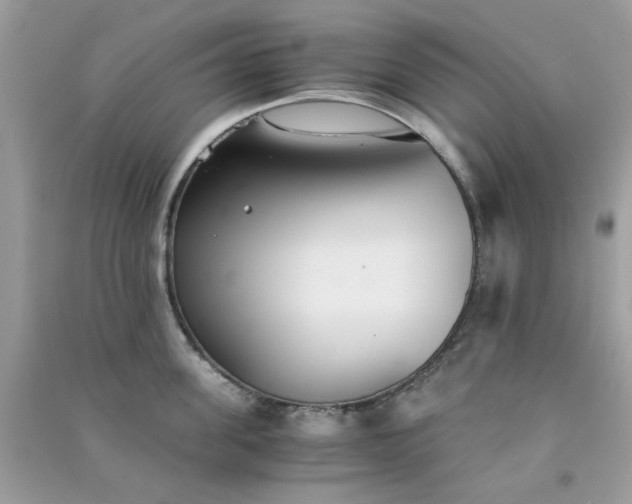 X0000091300955200708172206