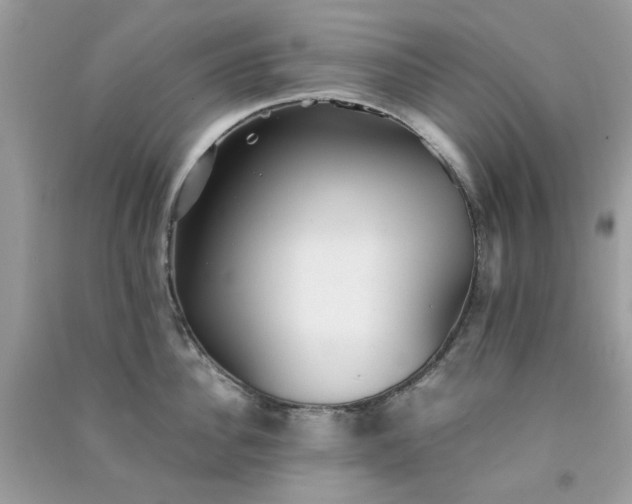 X0000091300956200708172206