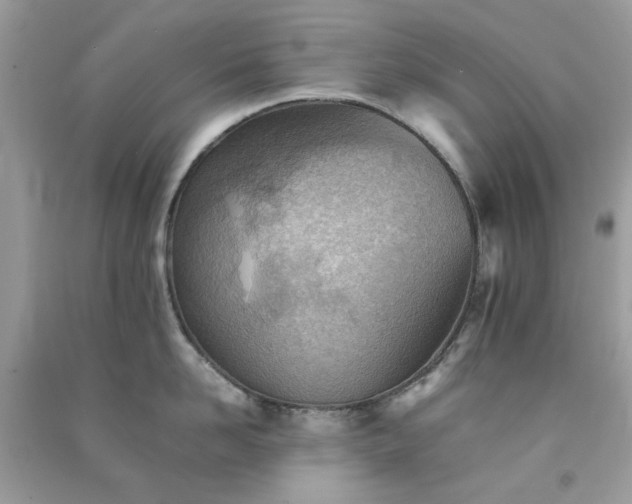 X0000091300958200708172206