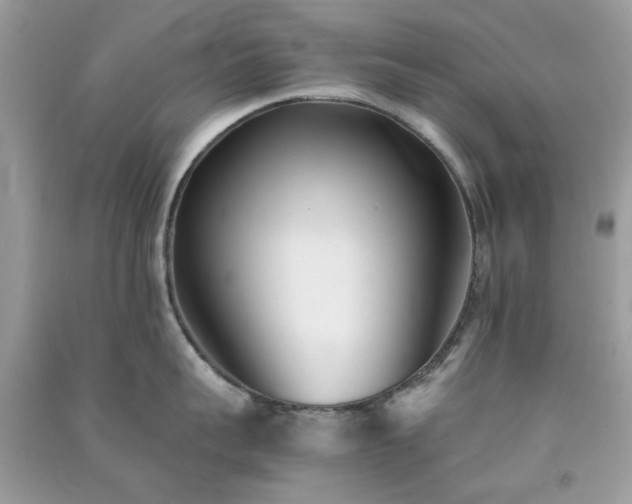 X0000091300959200708172206