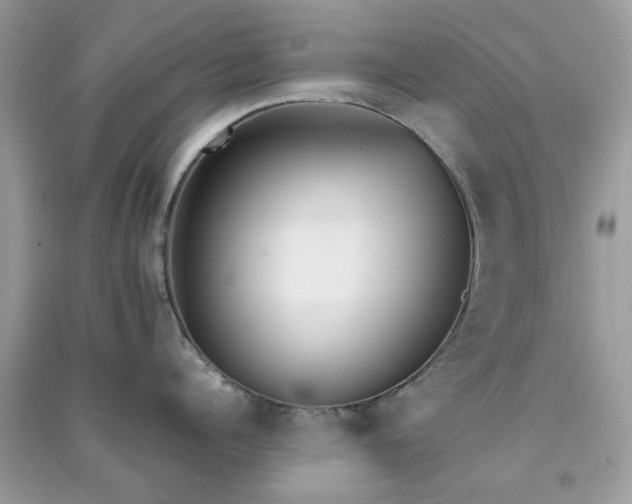 X0000091300960200708172206