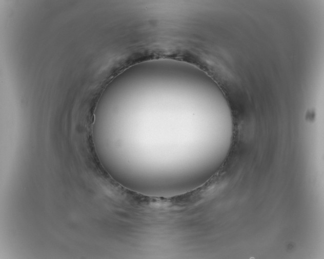 X0000091300961200708172205