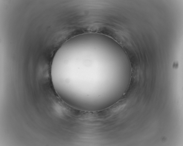 X0000091300962200708172205