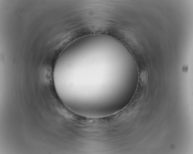 X0000091300963200708172205