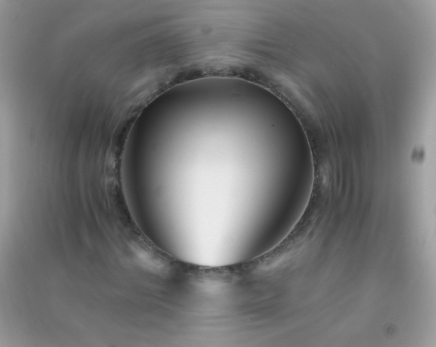 X0000091300964200708172205