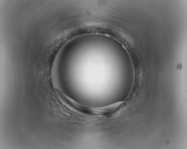 X0000091300965200708172205