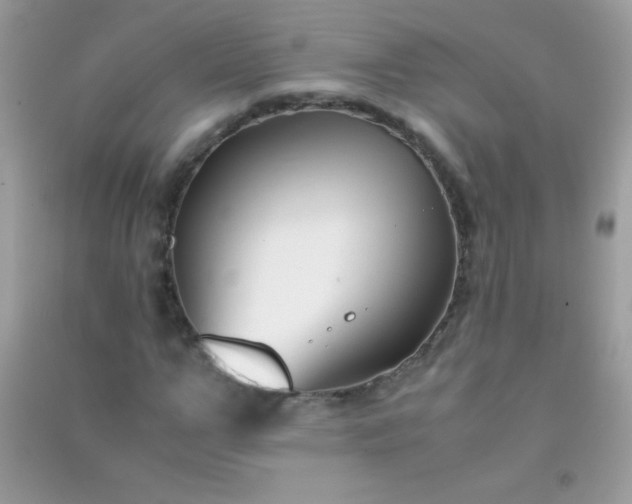 X0000091300967200708172205