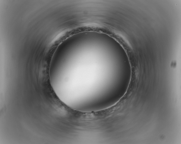 X0000091300968200708172205