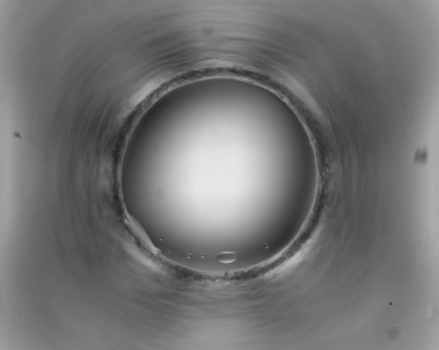 X0000091300969200708172205