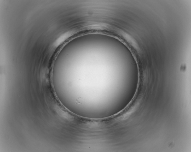 X0000091300970200708172205