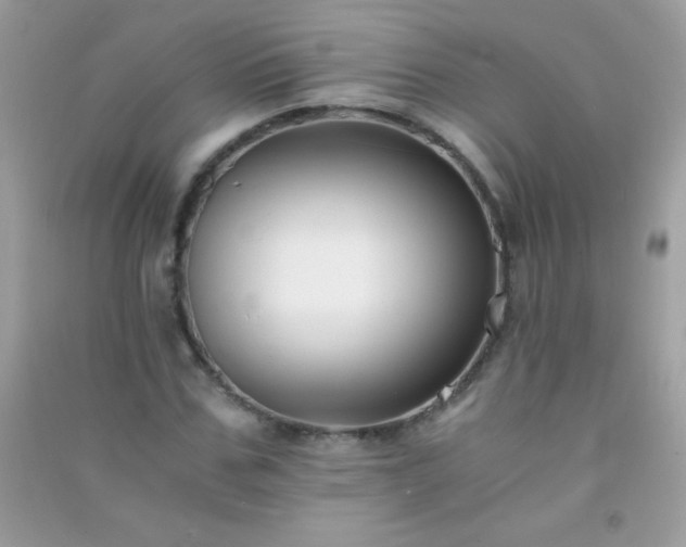 X0000091300971200708172205