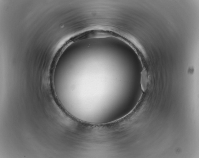 X0000091300972200708172205