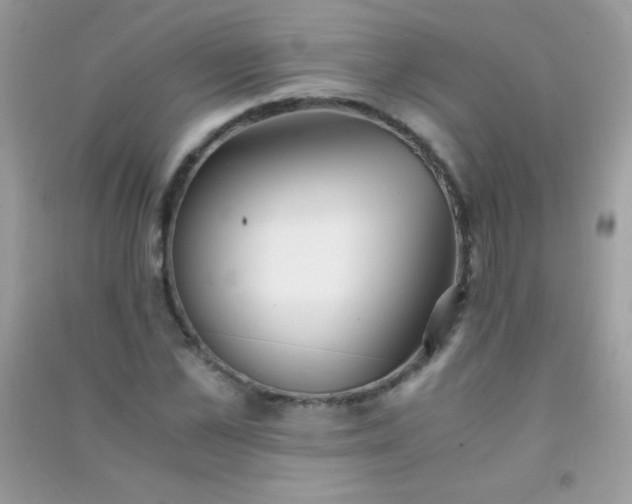 X0000091300973200708172205