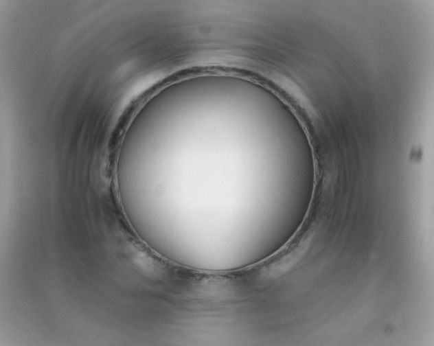 X0000091300974200708172205