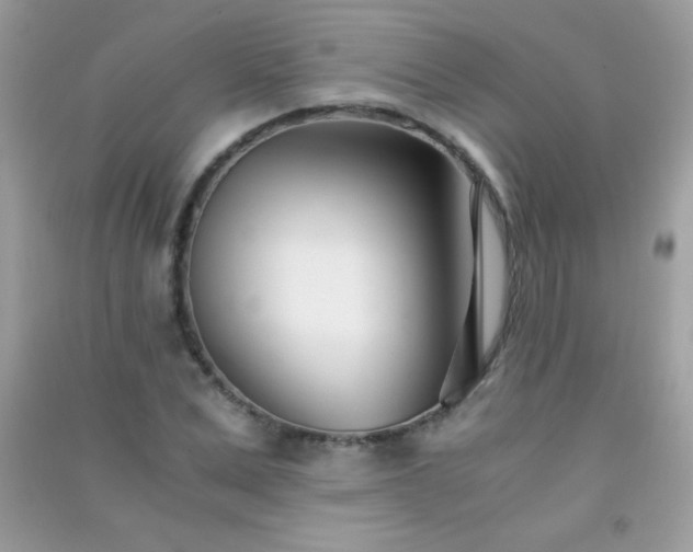 X0000091300975200708172205