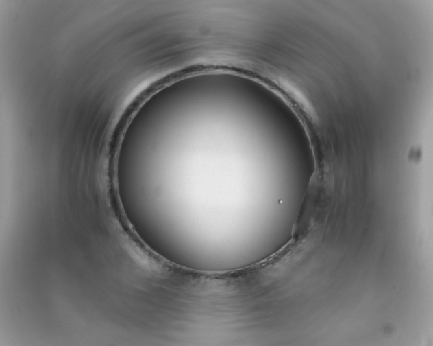 X0000091300976200708172205