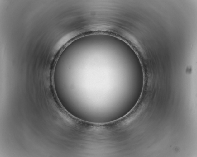 X0000091300978200708172205