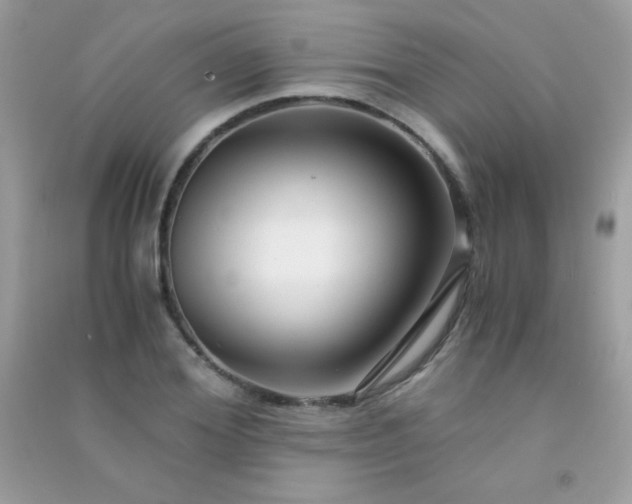 X0000091300980200708172205