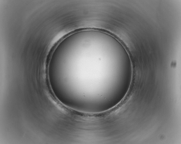 X0000091300982200708172205