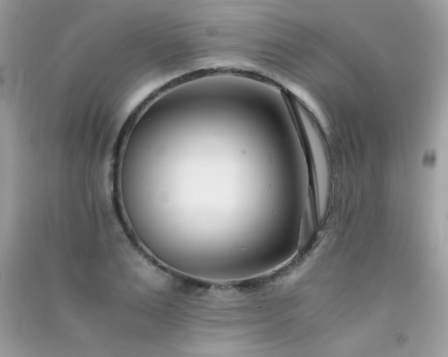 X0000091300983200708172205