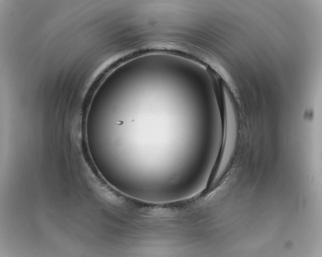 X0000091300984200708172205