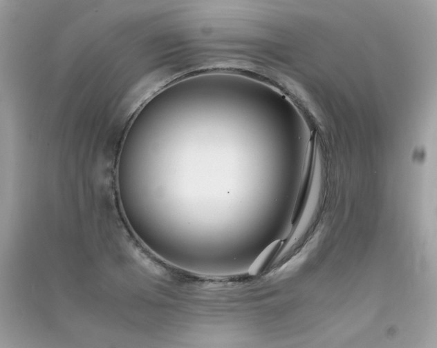 X0000091300985200708172205