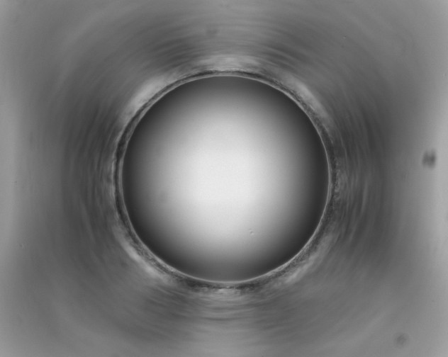 X0000091300986200708172205