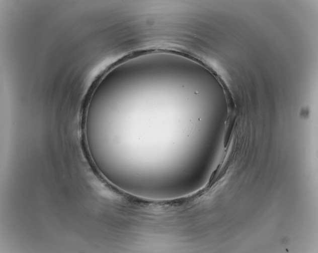 X0000091300987200708172205