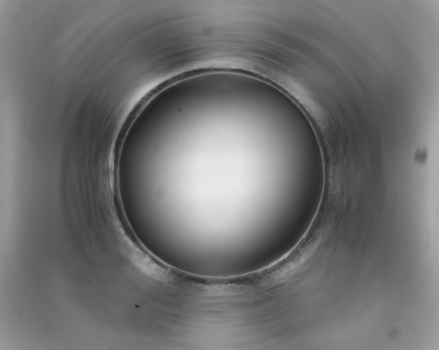 X0000091300988200708172205