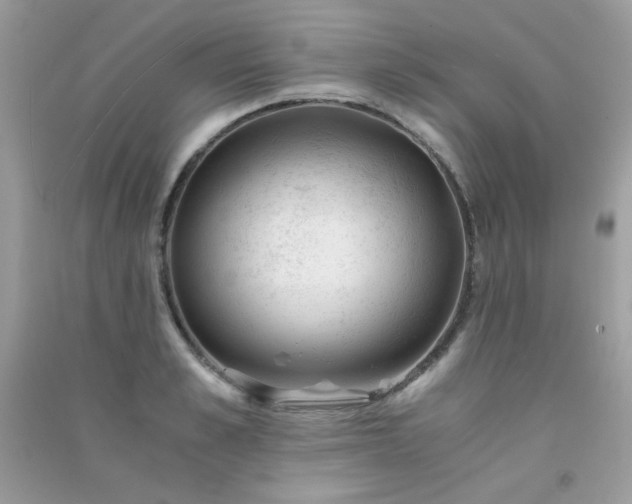 X0000091300989200708172205