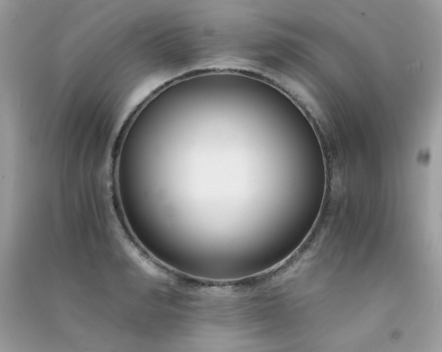 X0000091300990200708172205