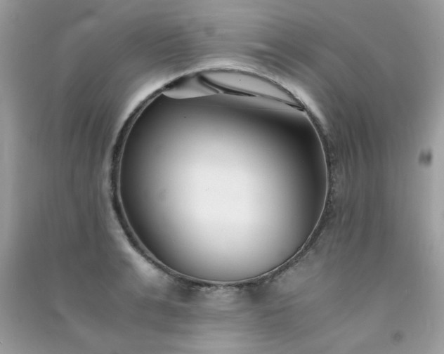 X0000091300991200708172205