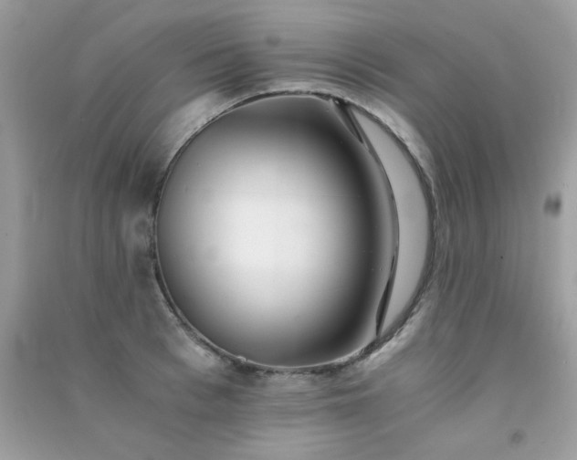 X0000091300993200708172205