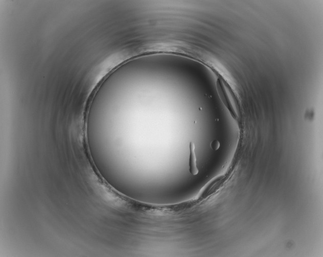 X0000091300994200708172205