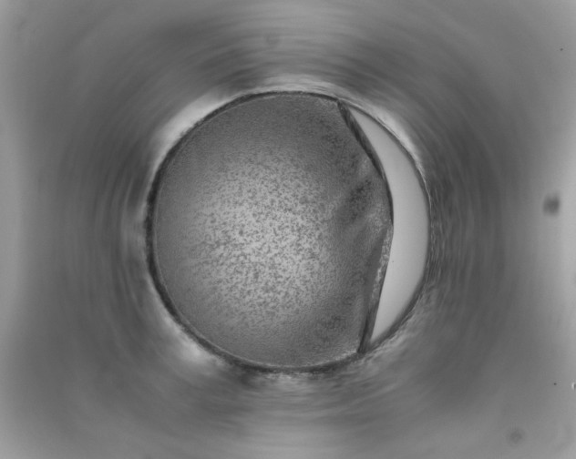 X0000091300995200708172205
