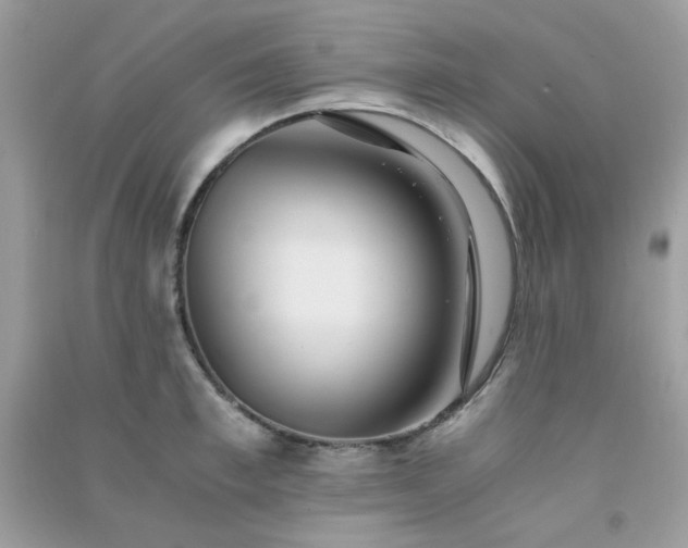 X0000091300997200708172205