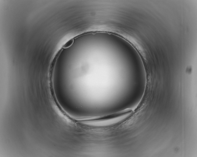 X0000091300998200708172205