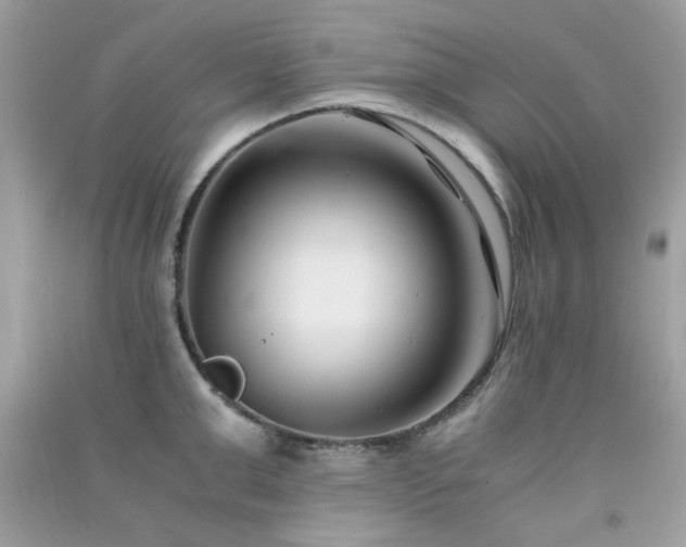 X0000091300999200708172205