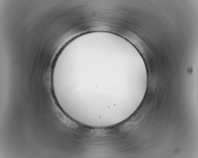 X0000091301000200708172205