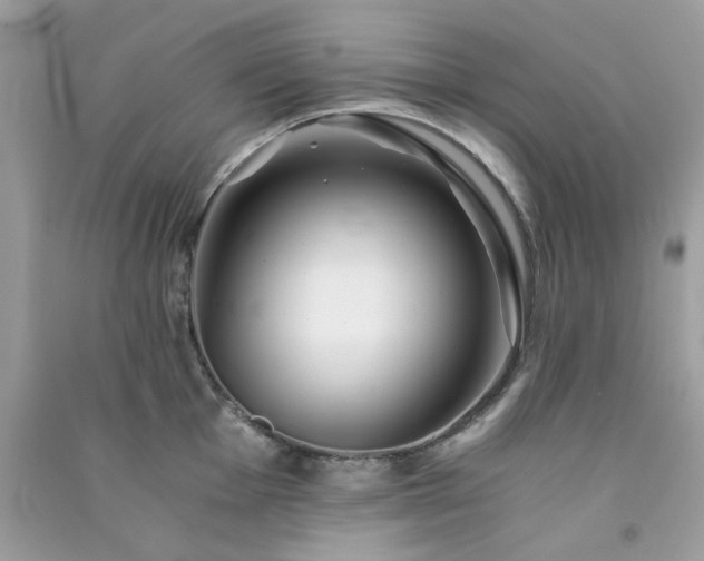 X0000091301001200708172205