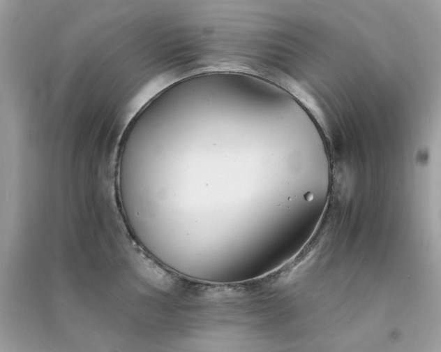 X0000091301002200708172205