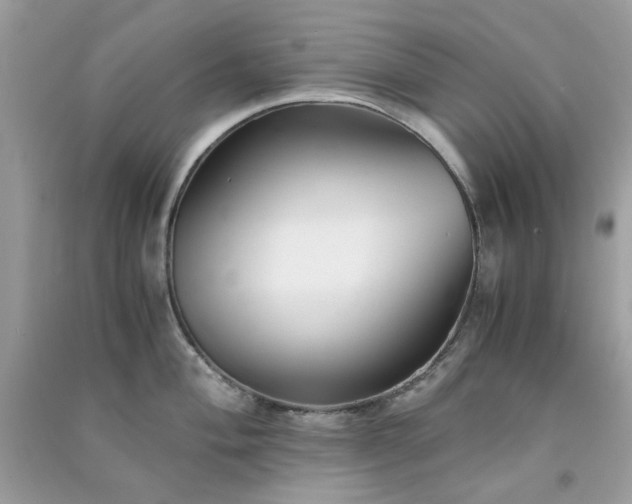 X0000091301004200708172205