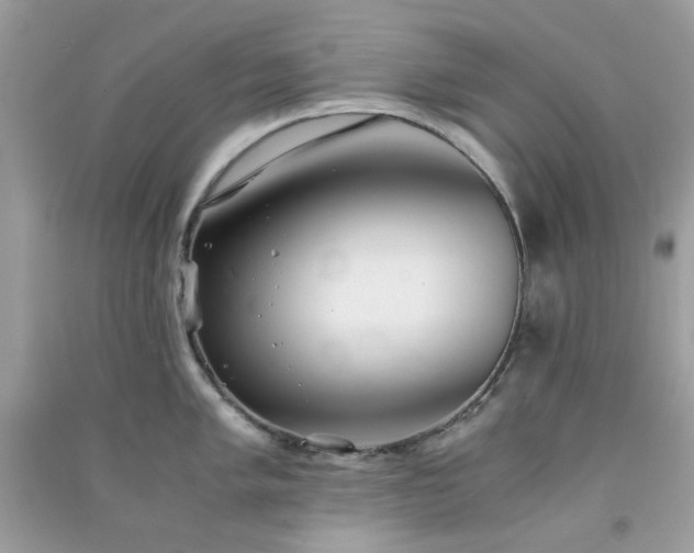 X0000091301005200708172205