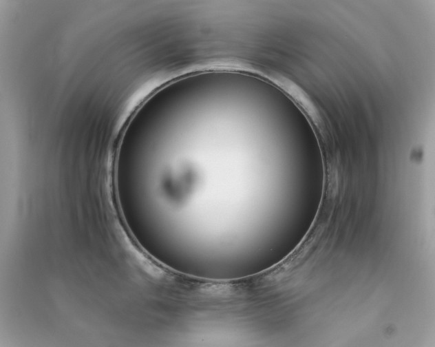 X0000091301006200708172205