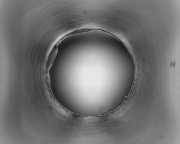 X0000091301008200708172205